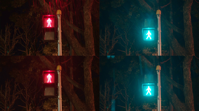 夜晚雨天人行横道红绿灯