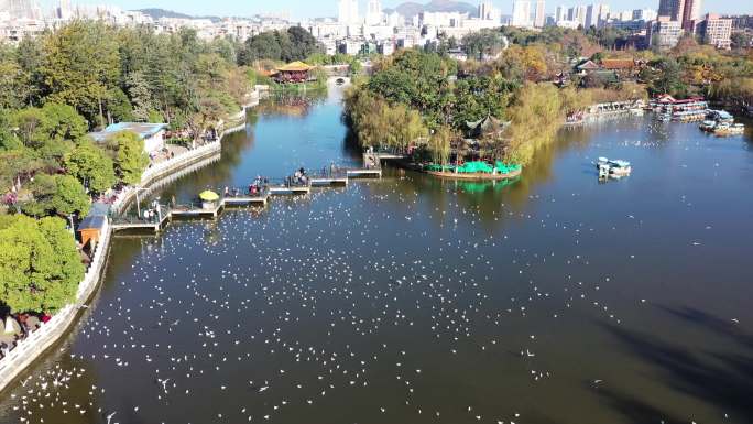 昆明市翠湖公园冬季航拍