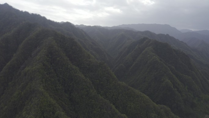 湖南神农架林区太阳坪自然保护区