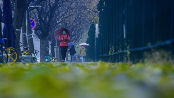 秋雨