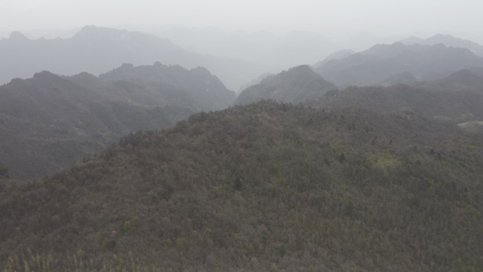 湖南神农架林区太阳坪自然保护区