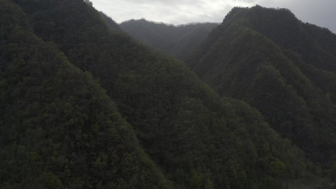 湖南神农架林区太阳坪自然保护区