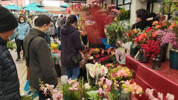 花鸟市场买花