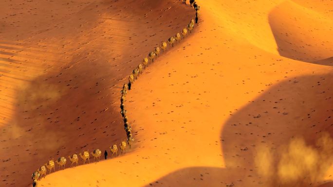 大型沙漠骆驼商队丝绸之路西域大漠