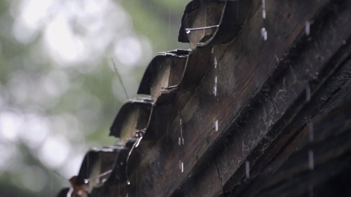 下雨下雨天的屋檐水滴