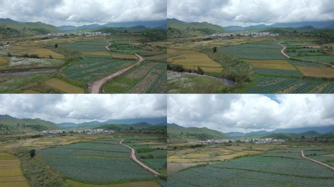 田野 航拍 空镜头 风景 自然