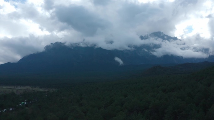 森林 云雾 航拍 空镜头 风景 自然