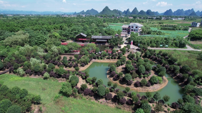 桂林旅游风光会仙湿地公园航拍