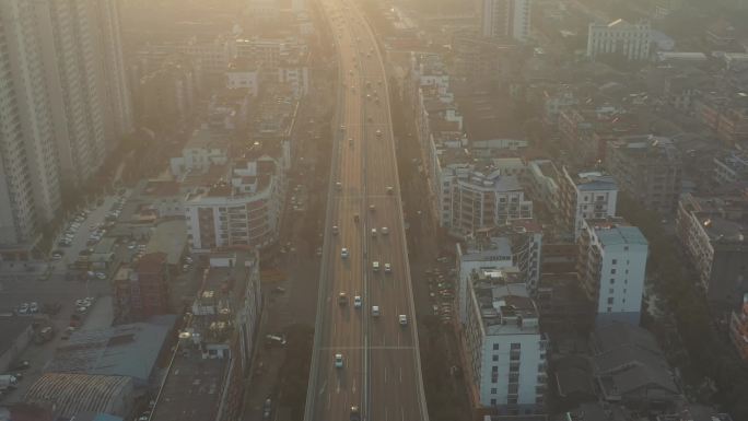 城市道路丨瓯海大道