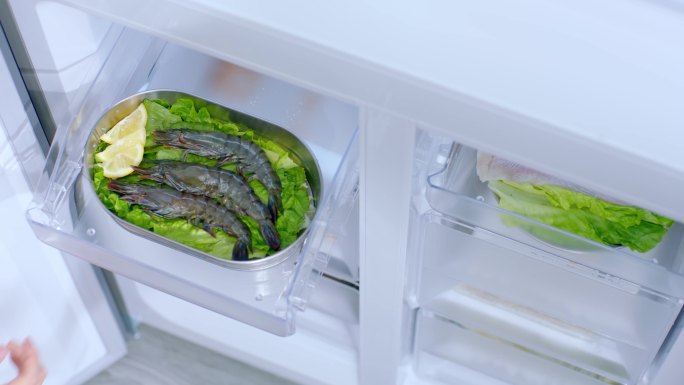 【原创】冰箱冷柜拉出虾推进虾