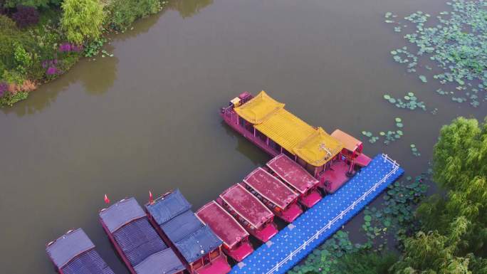 航拍枣庄台儿庄马兰湿地荷花公园