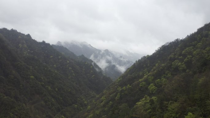 湖南神农架林区太阳坪自然保护区