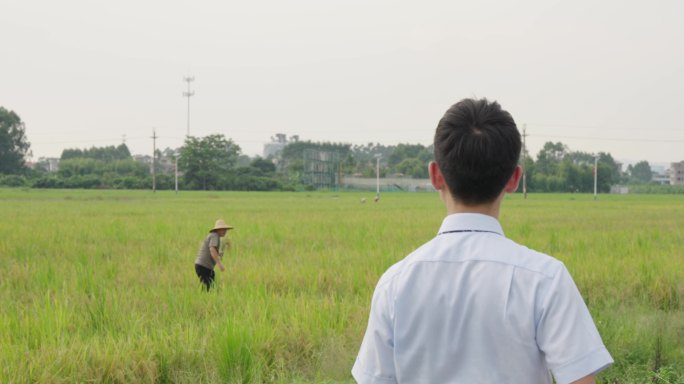 大学生村官