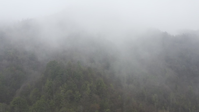 湖南神农架林区太阳坪自然保护区