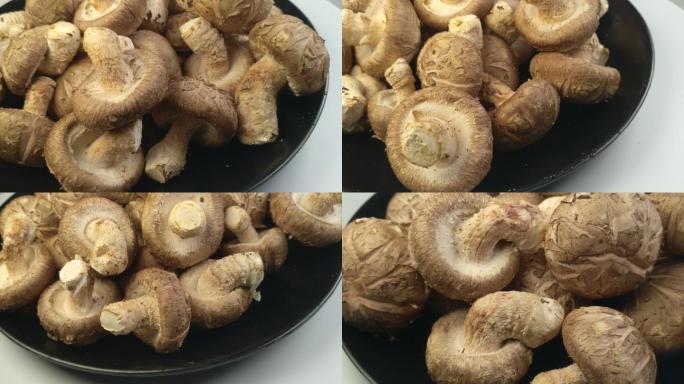 新鲜香菇美食餐饮（七）