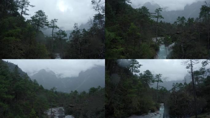 溪流 航拍 空镜头 风景 自然