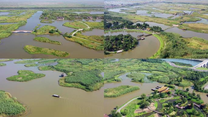 浙江杭州湾国家湿地公园航拍4K视频