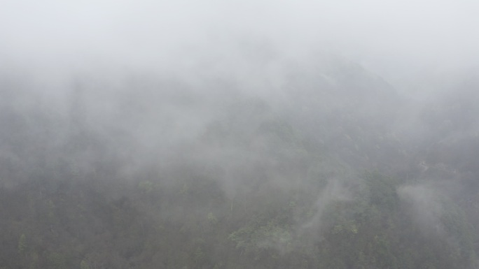 湖南神农架林区太阳坪自然保护区