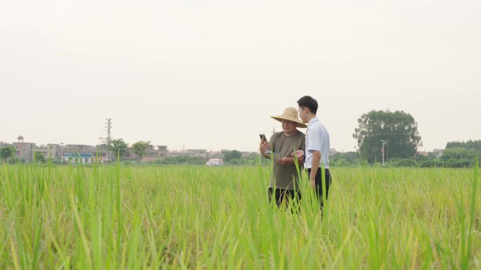 田间地头