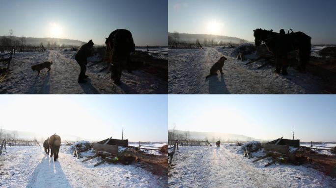 冬天雪地牵马黄狗