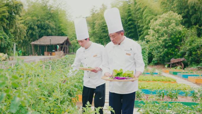 厨师精心挑选食材