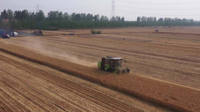 航拍小麦收割农业发展