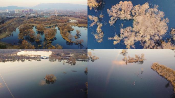 4K航拍短片.北京白浮泉湿地初冬黄昏