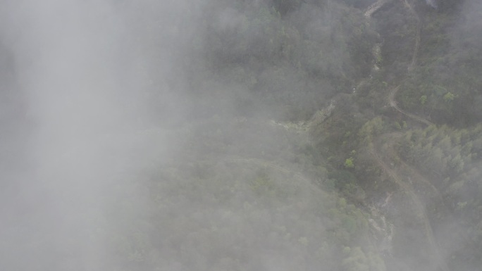 湖南神农架林区太阳坪自然保护区