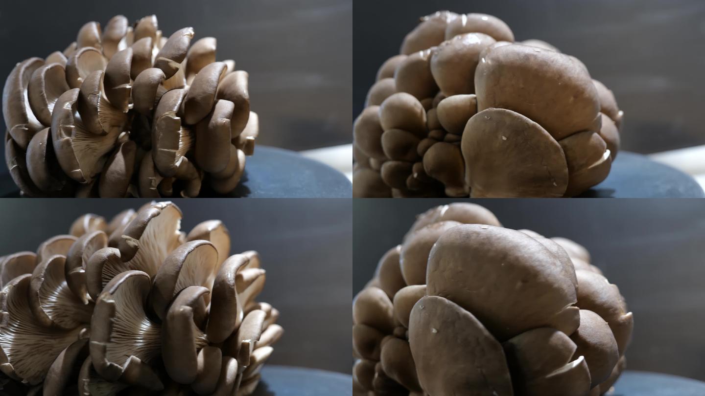 蘑菇旋转特写镜头