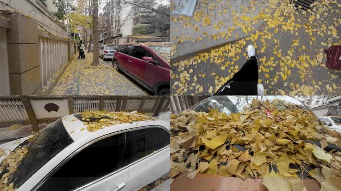 冬天街道落叶、地上汽车上的落叶