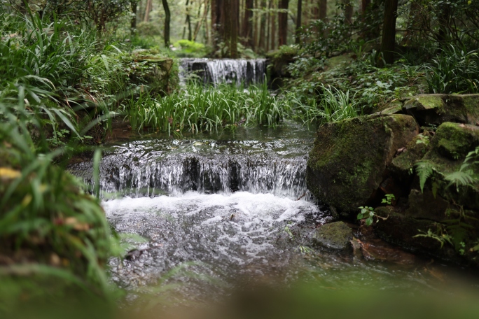 密林中的小瀑布溪流泉水 升格拍摄 慢动作
