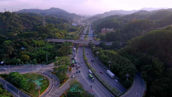 广州道路绿化航拍4K