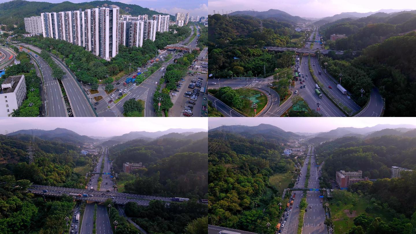 广州道路绿化航拍4K