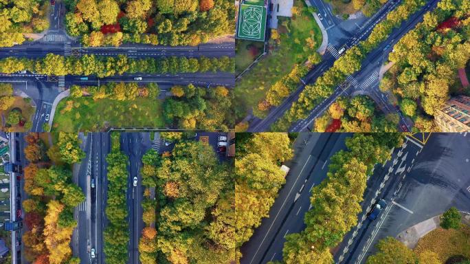 航拍杭州城市道路绿化4K