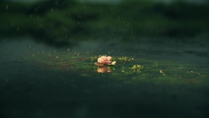 逆光湖面唯美意境禅意下雨光斑波光粼粼