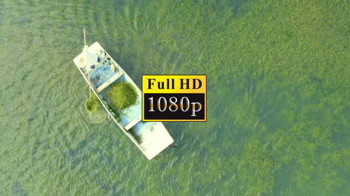 唯美湖面上打捞水草【1080P】