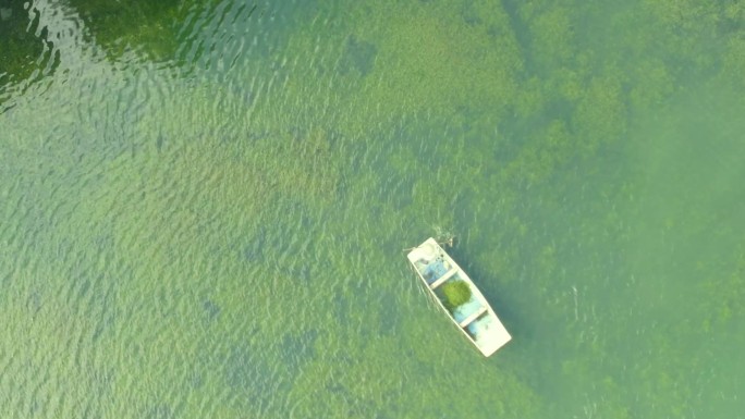 唯美湖面上打捞水草【1080P】