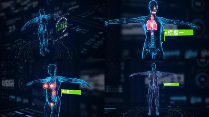高科技医疗人体动画