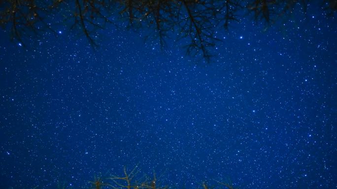 赤城县老掌沟星空 延时