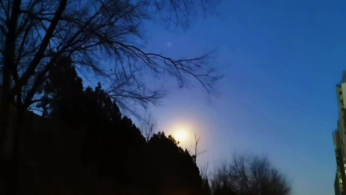 月亮 夜晚 寒冬 生活小区