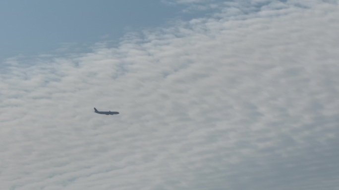 大飞机蓝天白云中飞经前海国际仲裁大厦上空