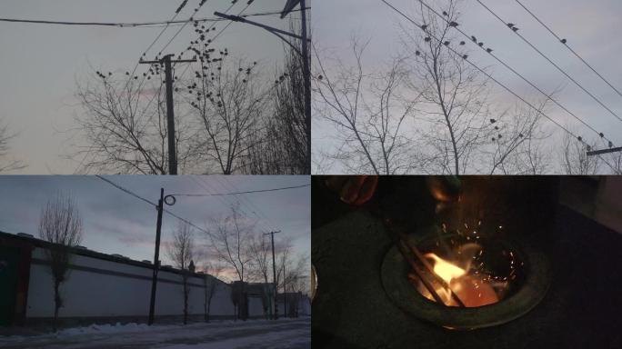 东北农村冬季雪景房子烧煤煲水电线杆的麻雀