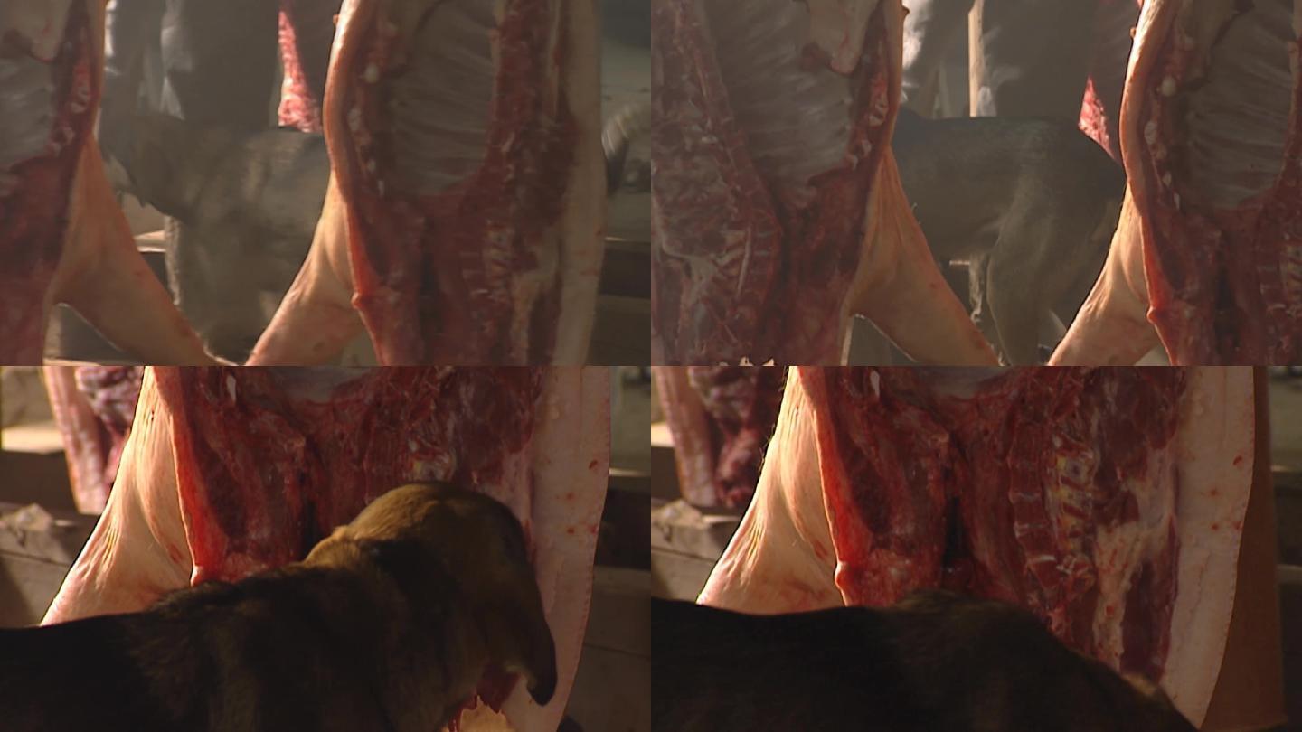 一只土狗到肉店偷吃肉视频