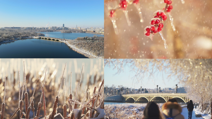 冬天雪景唯美镜头