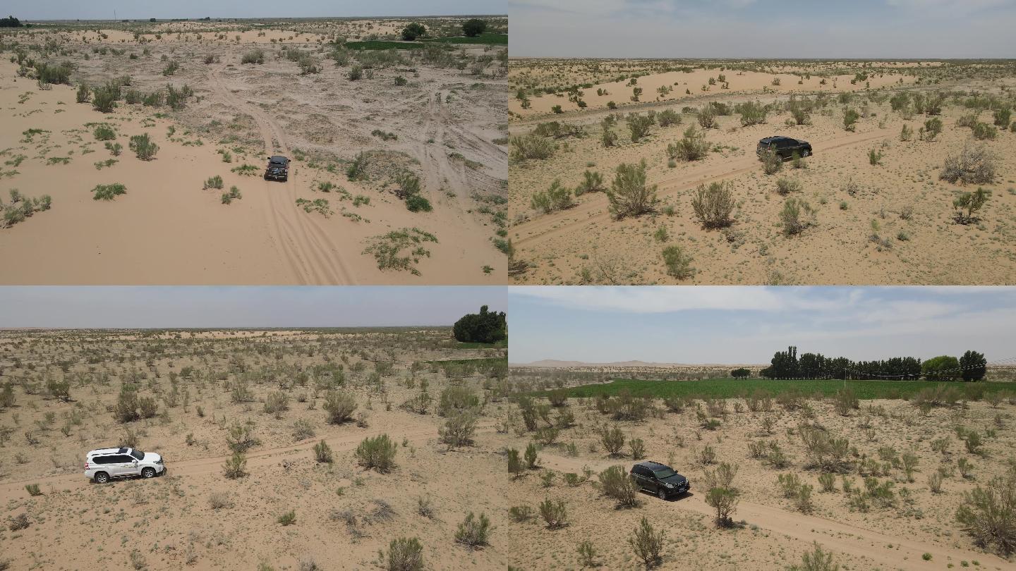腾格里沙漠梭梭种植基地中的越野车