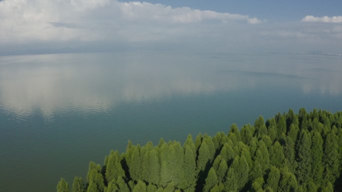 湖边绿色森林