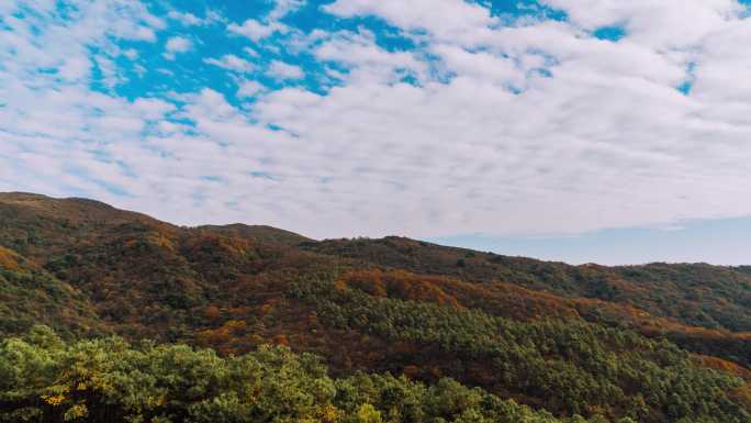 4K雷公山森林秋天的景色延时