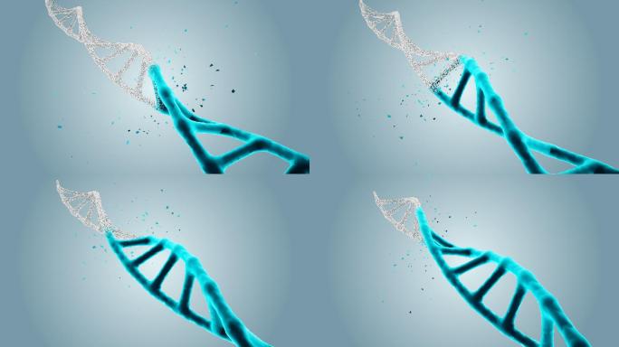 三维DNA修复动画
