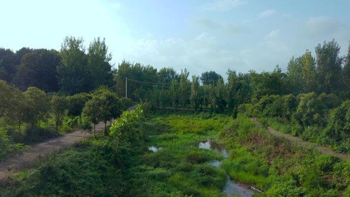 【原创】自然生态湿地