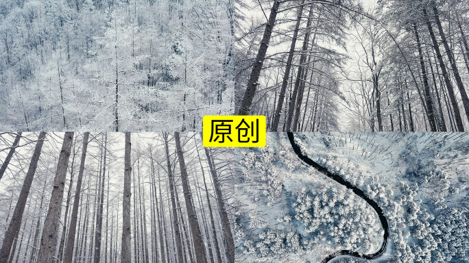 冬天唯美雪景4K